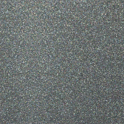 BF 0005