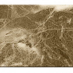 BROWN MARBLE
