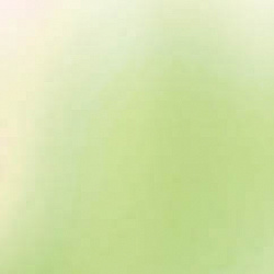 P 0005