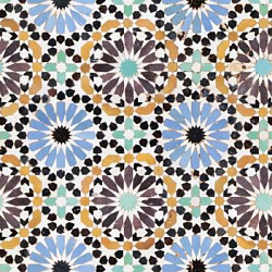 8021 S Marrakesh