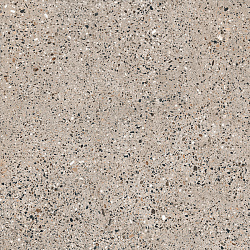 G292-ShikhanBeige МR